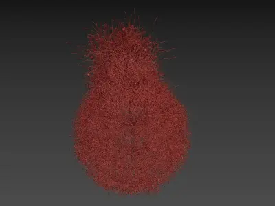 Spruce Tree 3D model