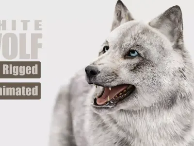 WHITE WOLF Rigged 3D model