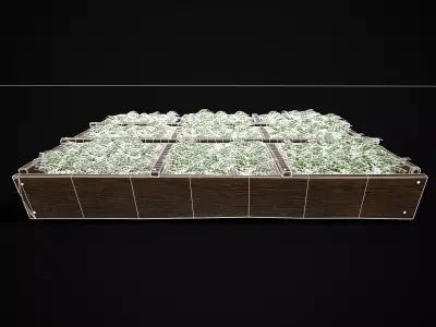 Square Planting Plot with Lettuce  Low-poly 3D model