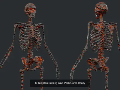 35 Skeleton Bone Pack Game Ready