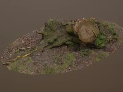 Fallen Tree Trunk Low-poly 3D model
