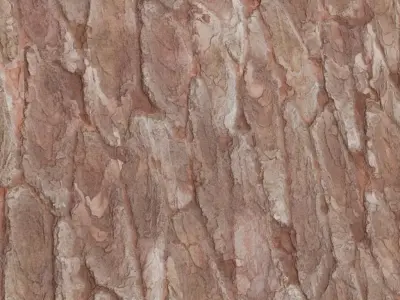 Natural Pine Tree Bark PBR Seamless Texture
