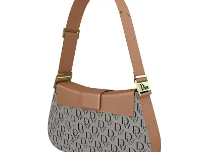 Dior Street Chic Bag Brown Black Print 3D model