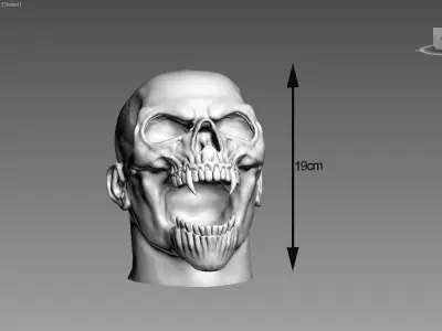 Scream skull human Headphone Stand 3D print model