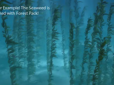  Seaweed Kelp Animated 