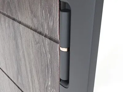 Modern front door 2 3D model