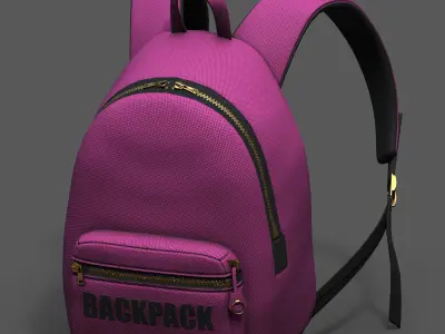 Backpack Camping color bag baggage pockets  Low-poly 3D model