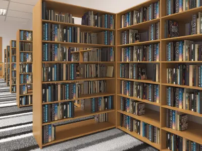  School Library Interior 