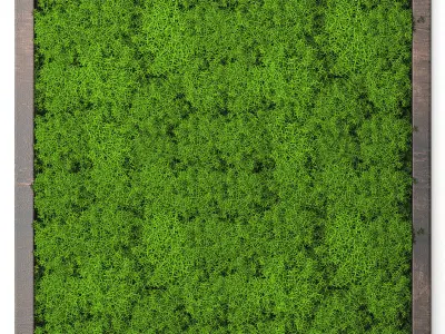 Stabilized moss 15 3D model