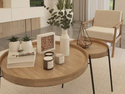  Luxury Villa Exterior and Interior 