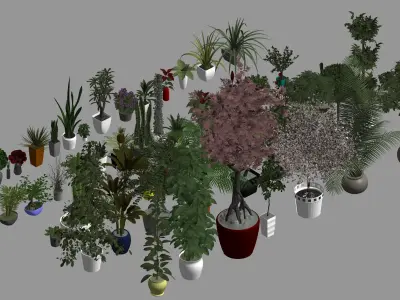 3D Plants Family Revit model 3D model