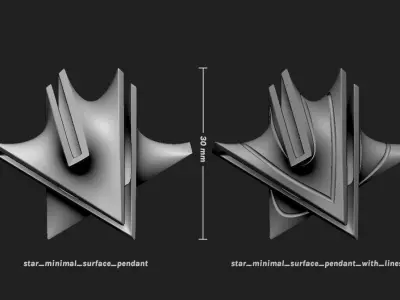 Star Minimal Surface Pendant 3D print model