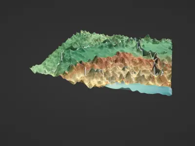 Bolivia Map Topography Low-poly 3D model