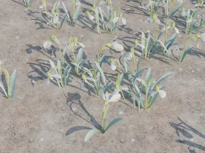 Spring flowers 3D model