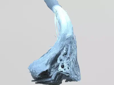 asteroid moon shard 3D model