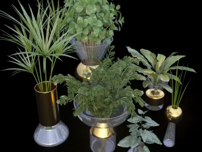 Decorative set with plants in vases 3D model