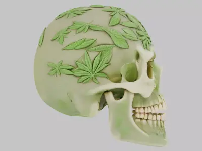 High Quality Detailed Skull 3D Model Low-poly 3D model