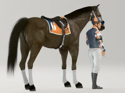  Racehorse and Jockey HQ 005 Standard License 