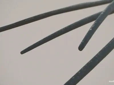 Hair Closeup 3D model