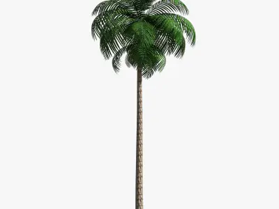 Palm Tree 02 Low Poly Low-poly 3D model
