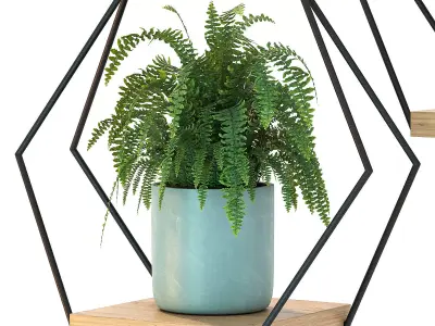 Hanging Plant 06 3D model