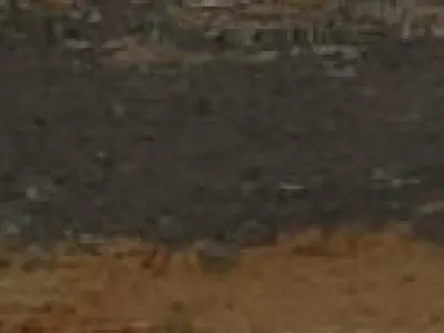 Hooker Furniture Living Room Two-Door Two-Drawer Chest 3D model