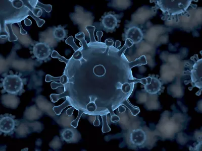 Covid19 CoronaVirus 3D model