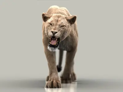  Lioness (3) (FUR) (ANIMATED) 