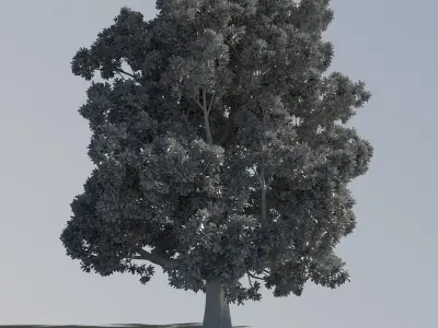  Hi Res Tree Looped Animation 