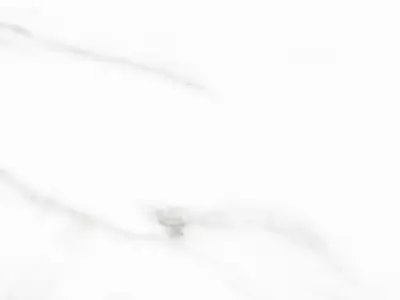 Elegant Marble Tile Seamless PBR Texture  Texture