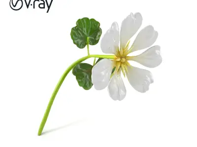 White Clover Plant Nature Realistic Textures model pack Low-poly 3D model