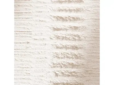 Salar Wool Rug 3D model