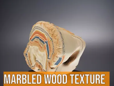 Marbled Wood Texture model pack Texture