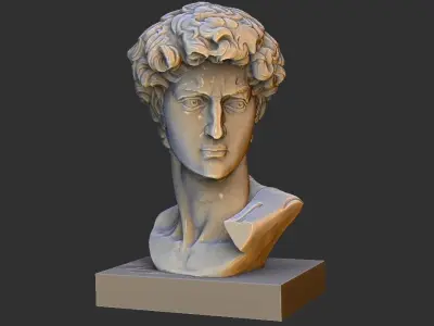DAVID BUST 3D print model