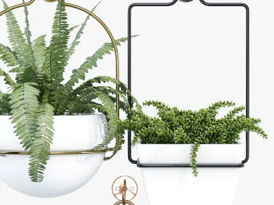 amazon three hanging plants 3D model