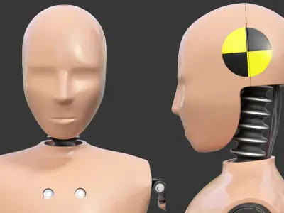  Child Crash Test Rigged Dummies Collection 