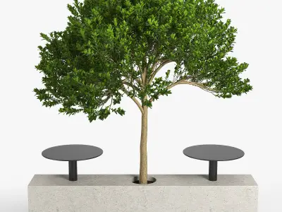 Foa Kucher 2 3D model