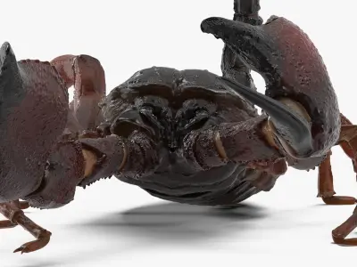  Walking Scorpion Animated Rigged for Maya 