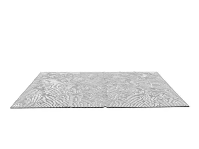 Connexions 1 Rug 3D model