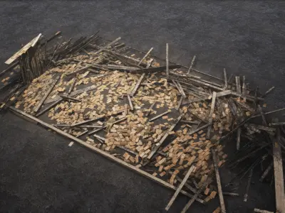 Wooden House Ruins  3D model