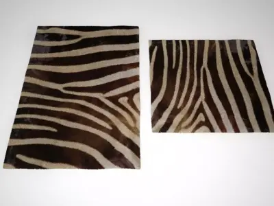 Zebra Rug 2 3D model