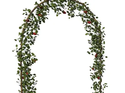 Door Outdoor rose 3D model