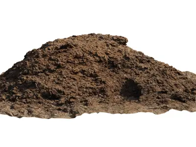 Pile of manure Low-poly 3D model