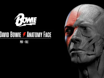David Bowie Face Anatomy - Ecorche
