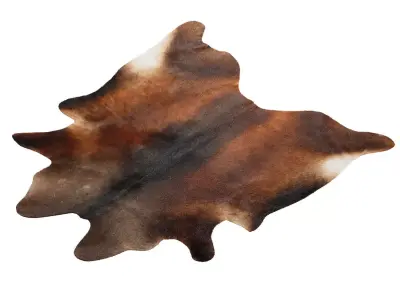Chocolate Cowhide Rug by Hudson Hides 3D model