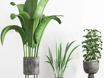 indoor plant stant 41 3D model