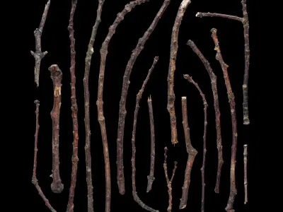 Sticks debris 02 Texture