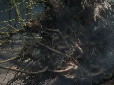 Fallen tree 3D model