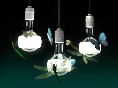 Johnny B Butterfly 3D model