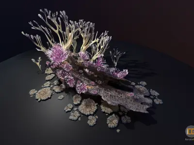 Alien Plant Fungus collection 1 Low-poly 3D model